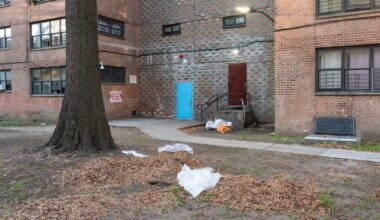 Dead infant found in bag under pile of leaves behind Brooklyn NYCHA building