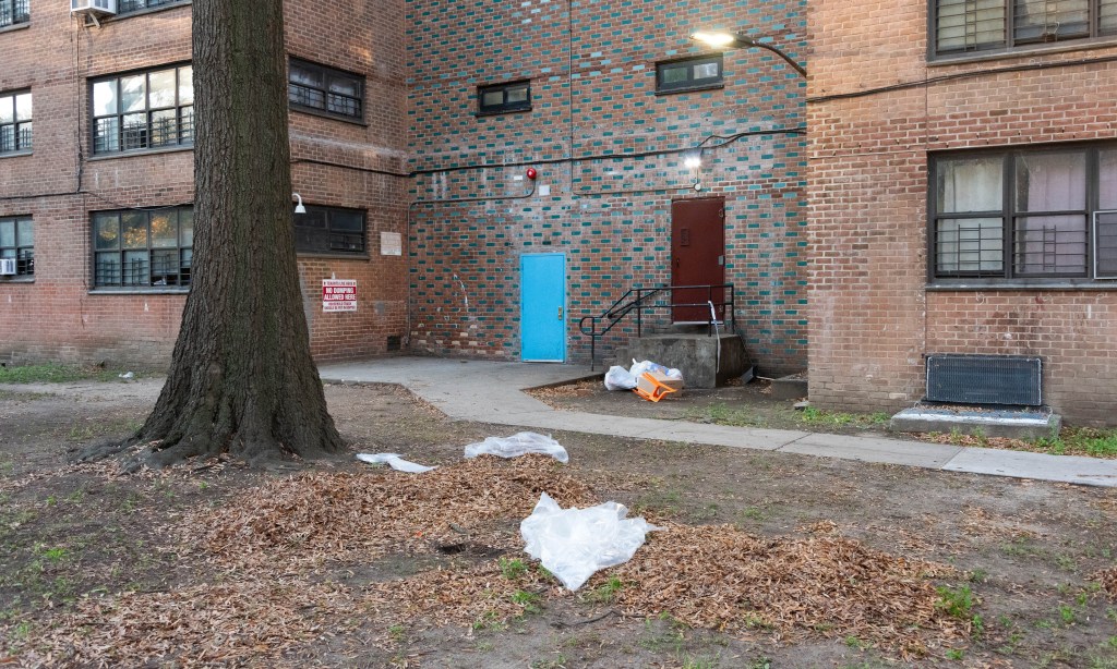 Dead infant found in bag under pile of leaves behind Brooklyn NYCHA building