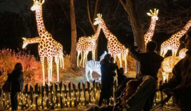 Your winter arts guide for New York City 2025