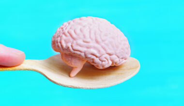 Breakthrough Helps Scientists Grow More Realistic Human Brain Models : ScienceAlert