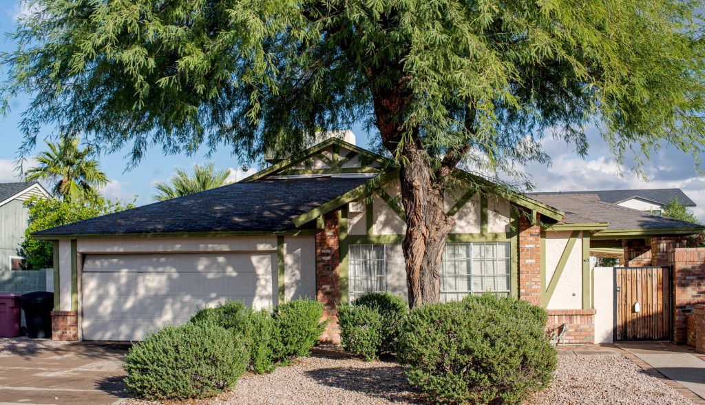 a house under a tree