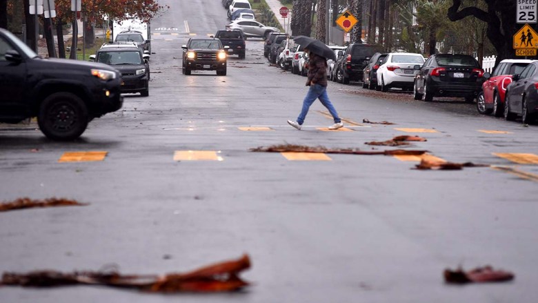 Palm fronds litter Ocean Beach amid a wind and rain storm. Photo by Chris Stone