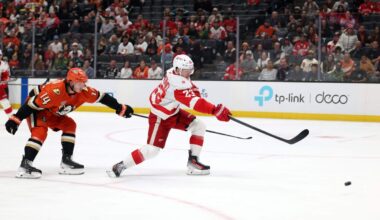 The Red Wings are improved and flawed. What does it mean for their outlook?