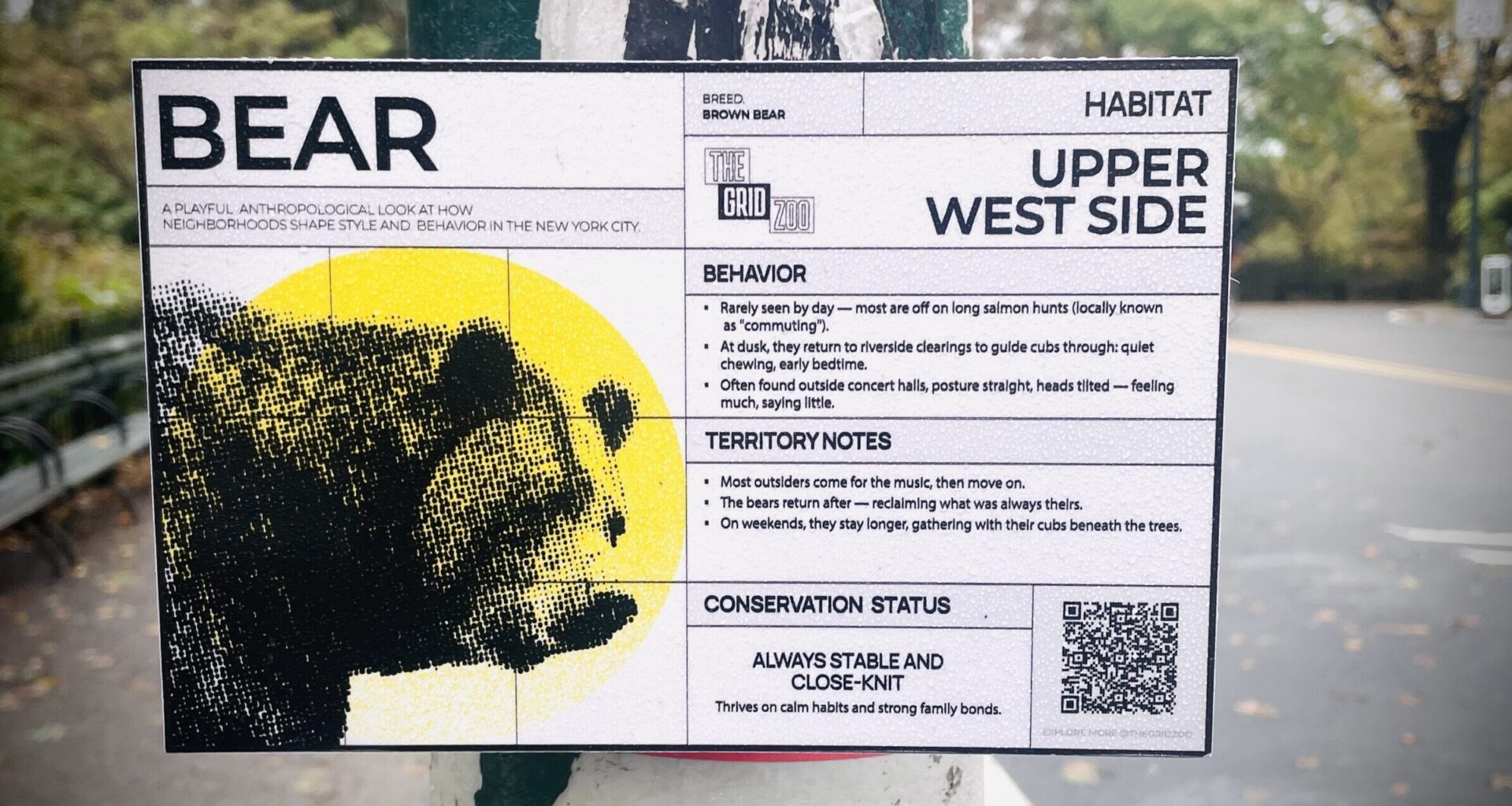 Going a Little Bear on the Upper West Side