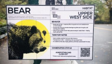 Going a Little Bear on the Upper West Side