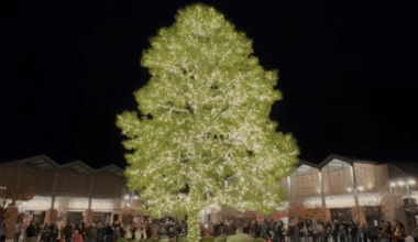 4 places to see holiday tree lighting in Arizona