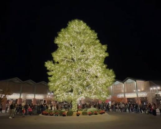 4 places to see holiday tree lighting in Arizona