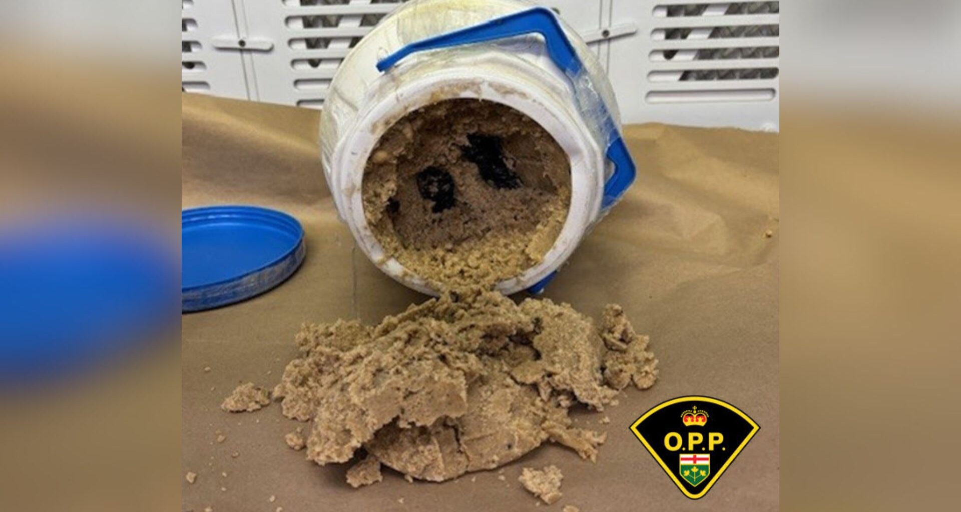 Ottawa man, 33, accused of importing more than 4 Kg of opium from India