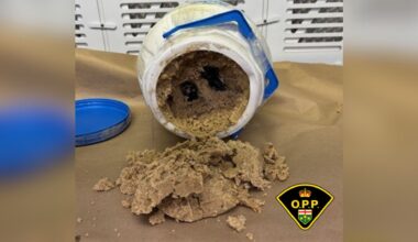 Ottawa man, 33, accused of importing more than 4 Kg of opium from India