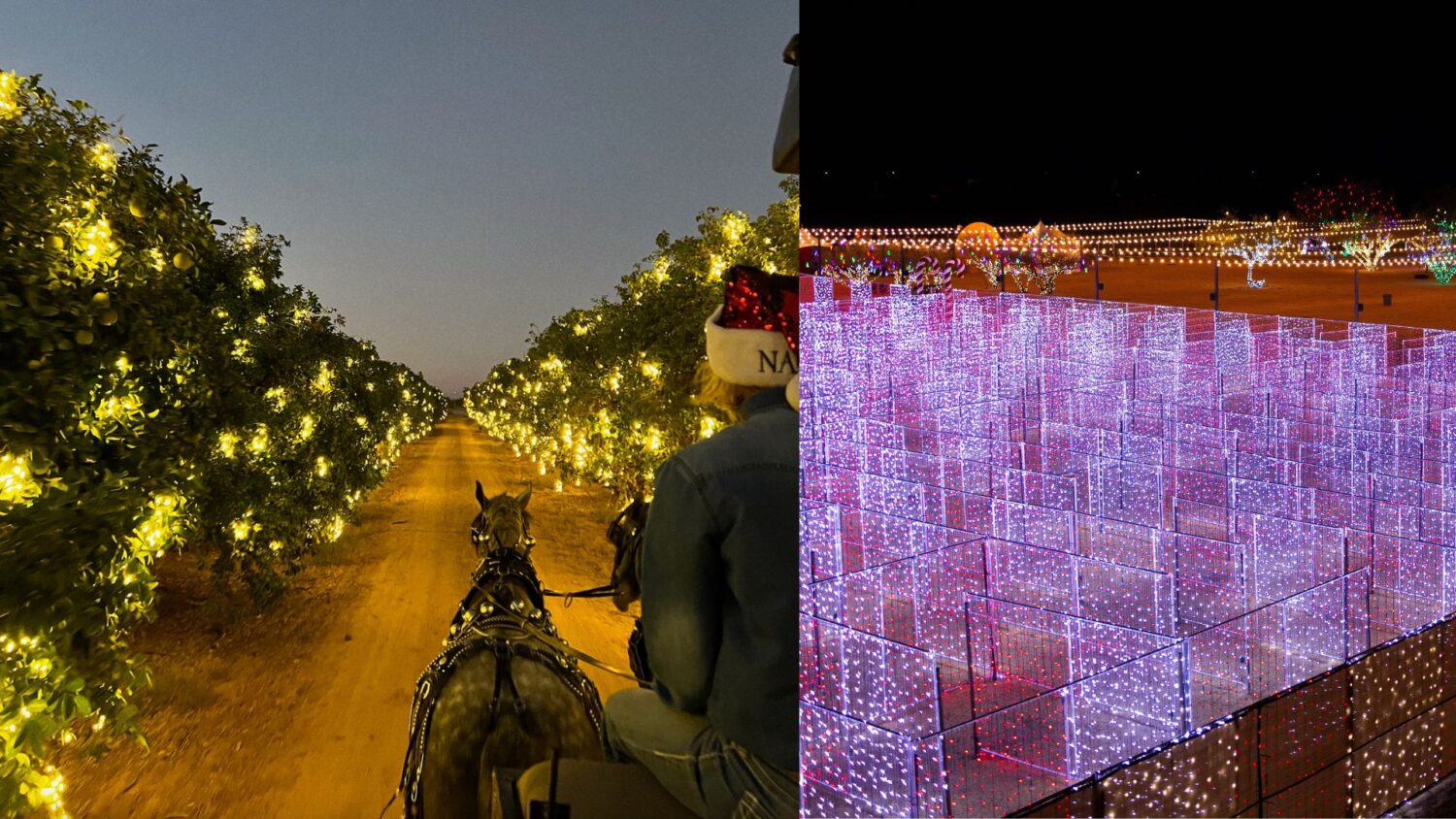 Desert Farm Lights photos...