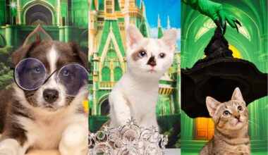 Fur Friday: These ‘Wickedly’ charming pets are ready to cast a spell on North Texas
