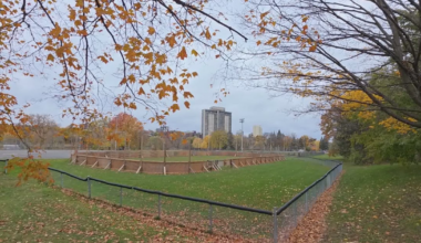 Snowfall warning in effect for Ottawa Sunday - CTV News