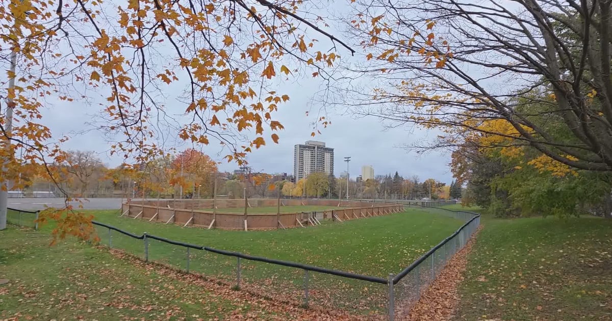 Snowfall warning in effect for Ottawa Sunday - CTV News