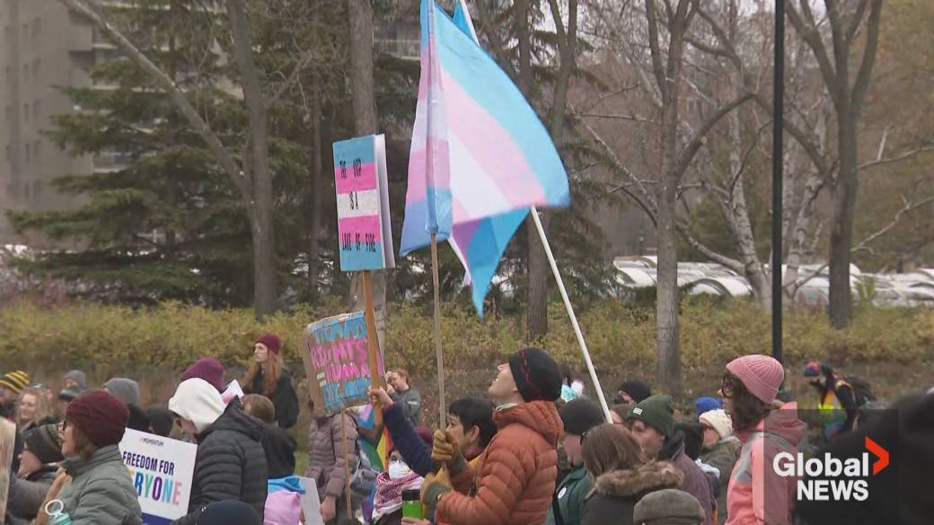 Click to play video: 'Support for Alberta government bills pertaining to gender identity'