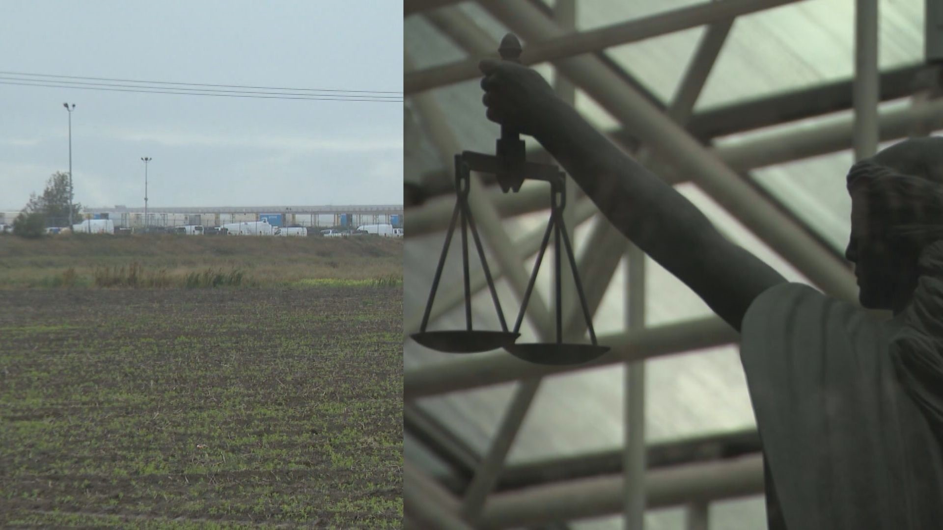 Click to play video: 'Leading expert on Aboriginal land issues sounds warning about Cowichan court ruling'