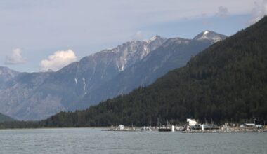 Students, staff member injured in grizzly bear attack on school group in remote B.C. community - CTV News