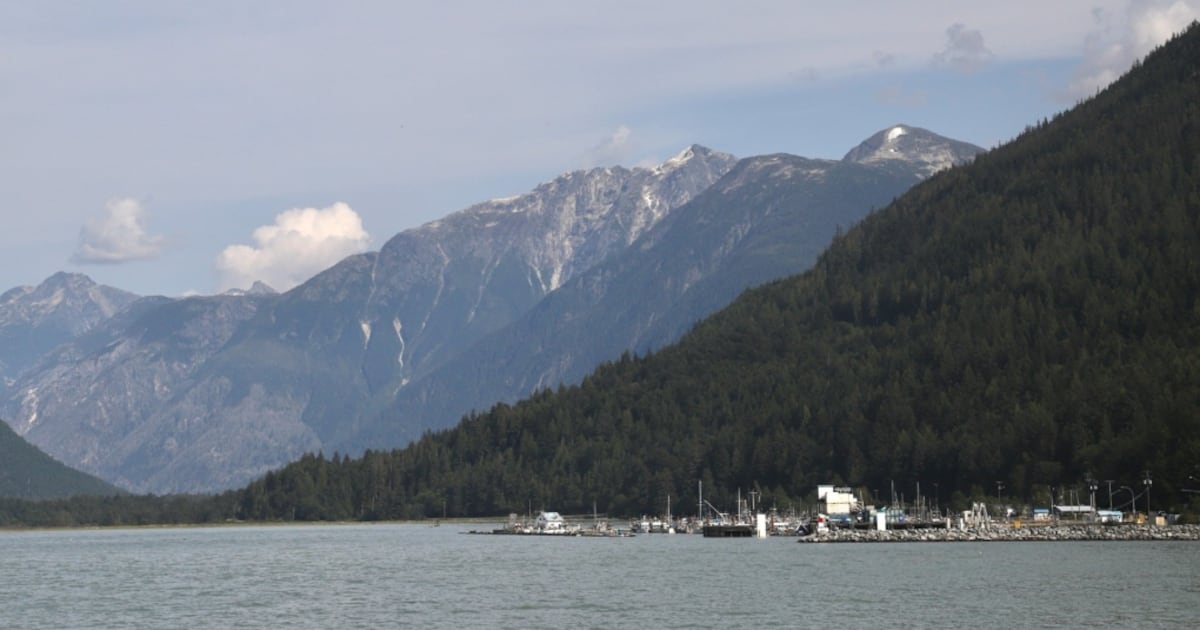 Students, staff member injured in grizzly bear attack on school group in remote B.C. community - CTV News