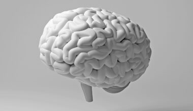 Study Links Gum Disease With White Matter Damage in The Brain : ScienceAlert