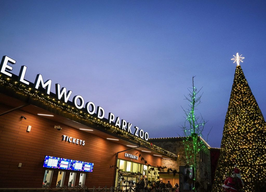 Get into the holiday spirit along with the tigers, lions and bears – Daily Local