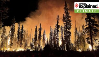 Wildfire at Lick Creek, Umatilla National Forest, Oregon, United States, 2021. (Wikimedia Commons)