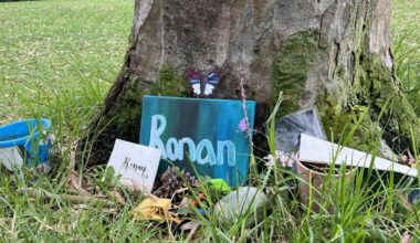 'He was my best friend' | San Diego family sues after tree falls, kills 4-year-old son at city park