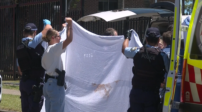 The dog owner was left fighting for life after being attacked by his own dogs.