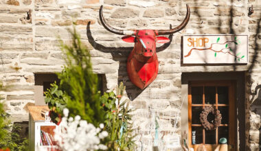 Yahoo lifestyle home