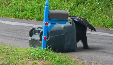 adobestock 837056762