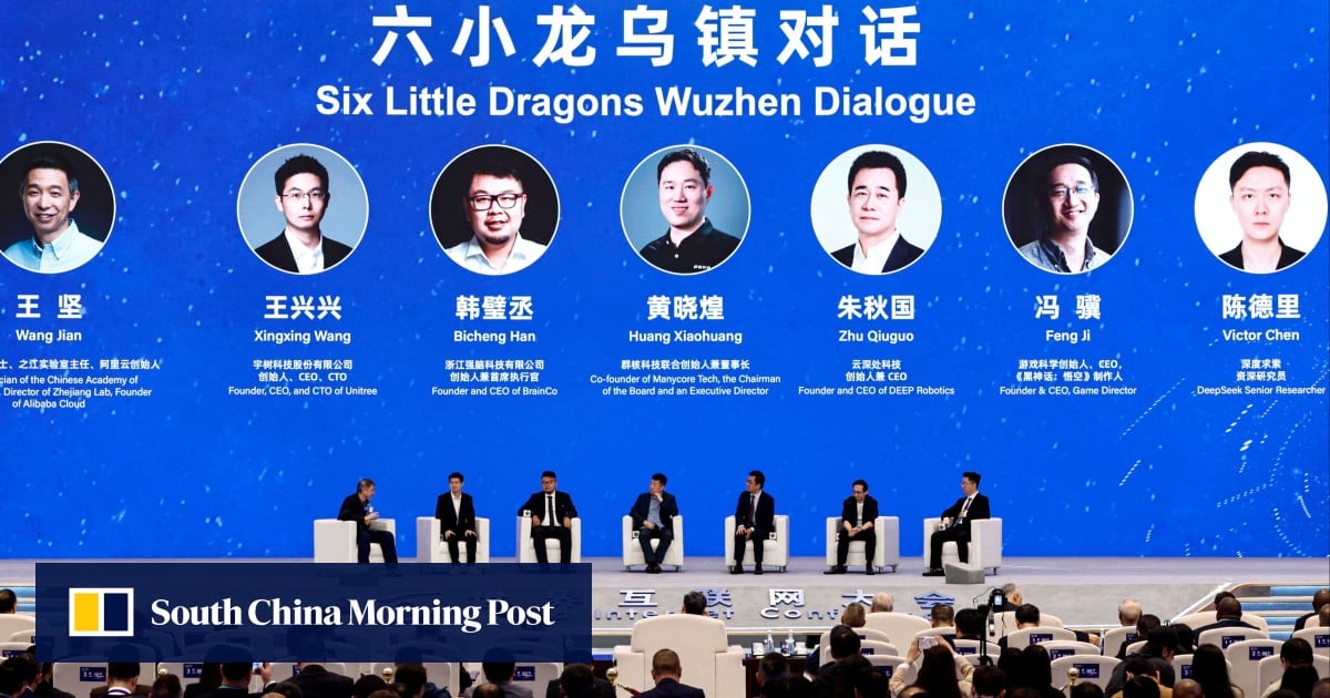 China’s DeepSeek makes rare public comment, calls for AI ‘whistle-blower’ on job losses