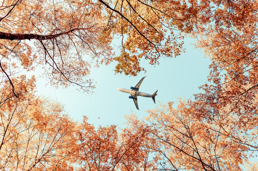 Passenger plane flying above trees in autumn