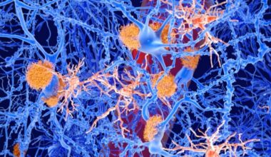 Simple New Compound Reverses Alzheimer's Symptoms in Rats : ScienceAlert