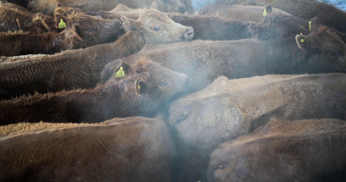 Trump calls for investigation into foreign meatpackers over U.S. beef prices