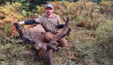 Kamiah man’s cactus bull elk becomes viral sensation