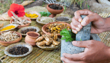 Yuvrit Ayurveda raises $800,000 to expand its premium clinic network across Bengaluru