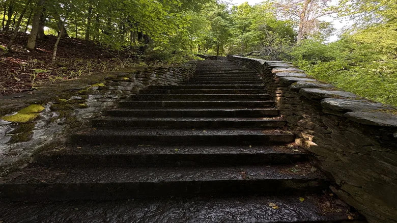 Stairs to Thompson park surrounded by trees in Watertown, New York