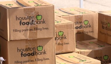 'People in our community are struggling' | More than 1,200 Houston families seek food aid amid federal shutdown, SNAP delays