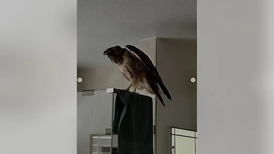 <div>Photos courtesy Contra Costa County Fire Protection District.</div>