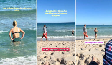 A beachgoer almost had a dangerous encounter with a shark, but a quick-thinking lifeguard prevented a disaster.