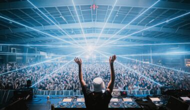 A DJ with his arms raised stands onstage in front of a huge crowd.