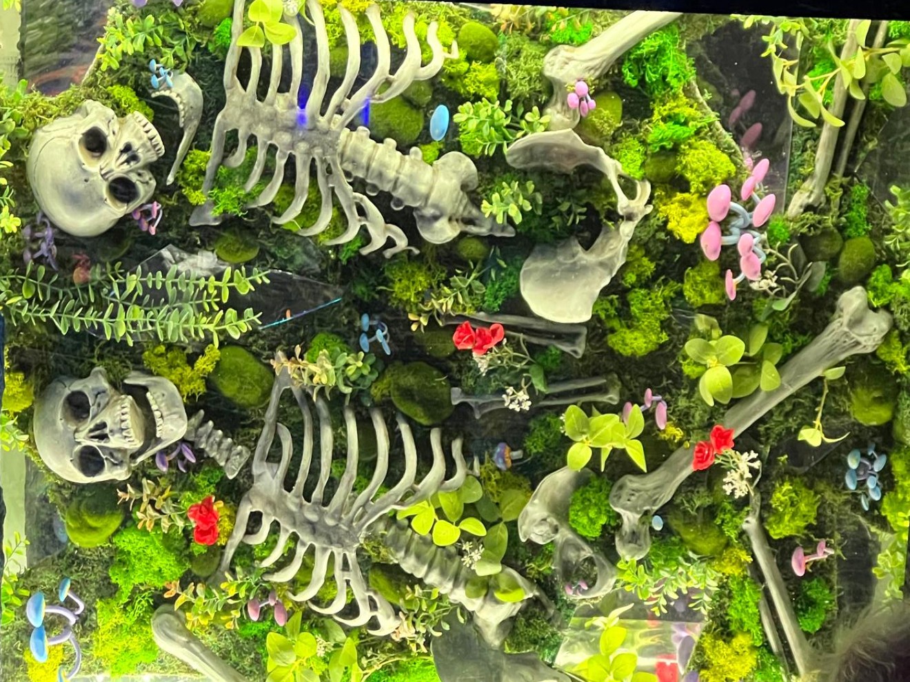 Best Of Houston® 2025: Best Speakeasy