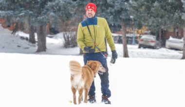 Yahoo entertainment home