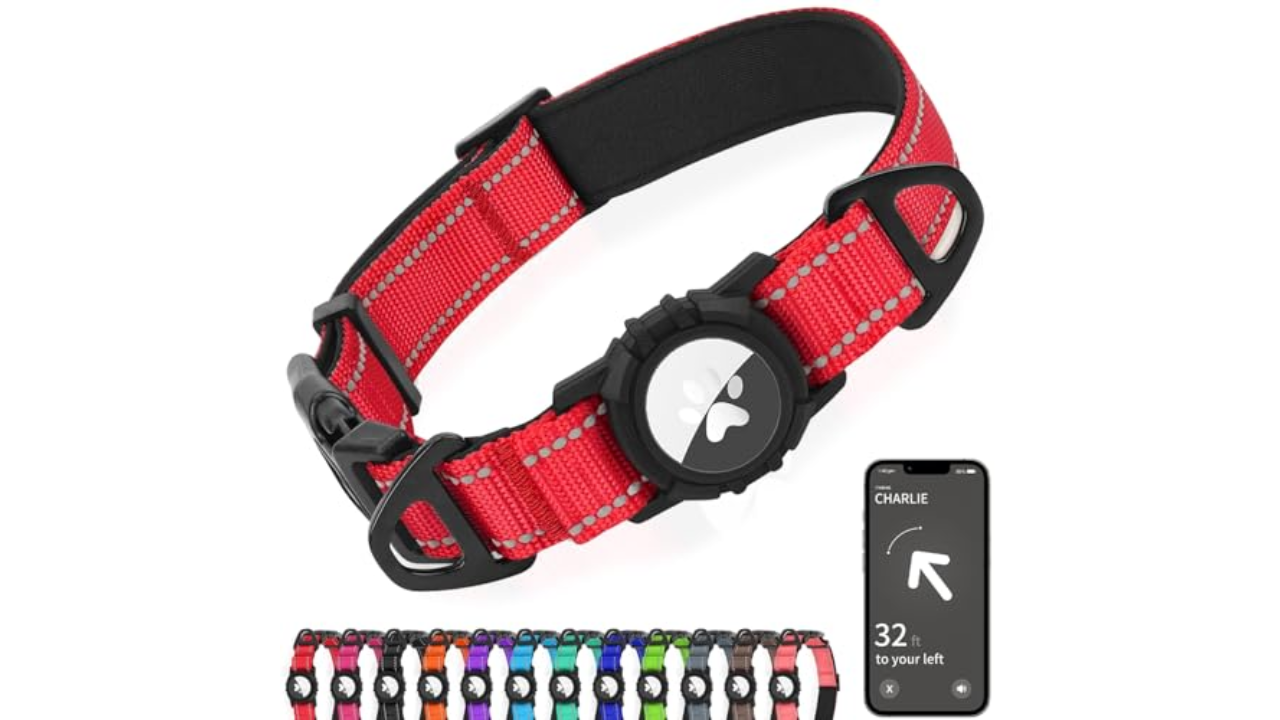 Image for the large product module