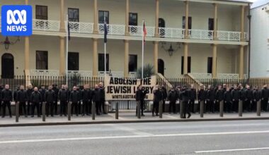 Social media attack on Sydney MPs who condemned neo-Nazi rally reported to police