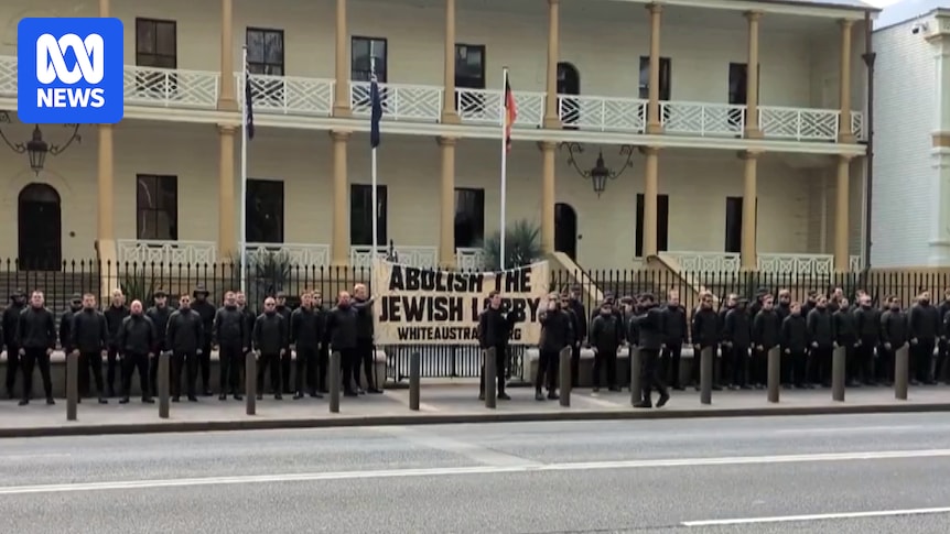 Social media attack on Sydney MPs who condemned neo-Nazi rally reported to police