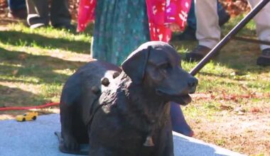 Statue of NH's official dog unveiled in Tamworth