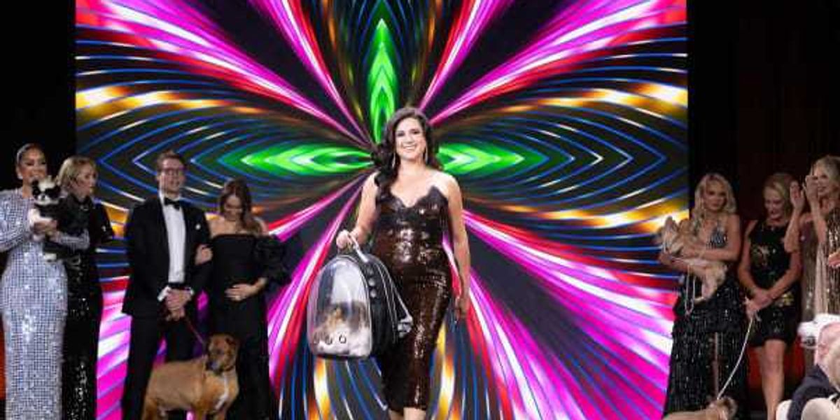 Disco-powered Houston bash raises $1.1M for pet nonprofit