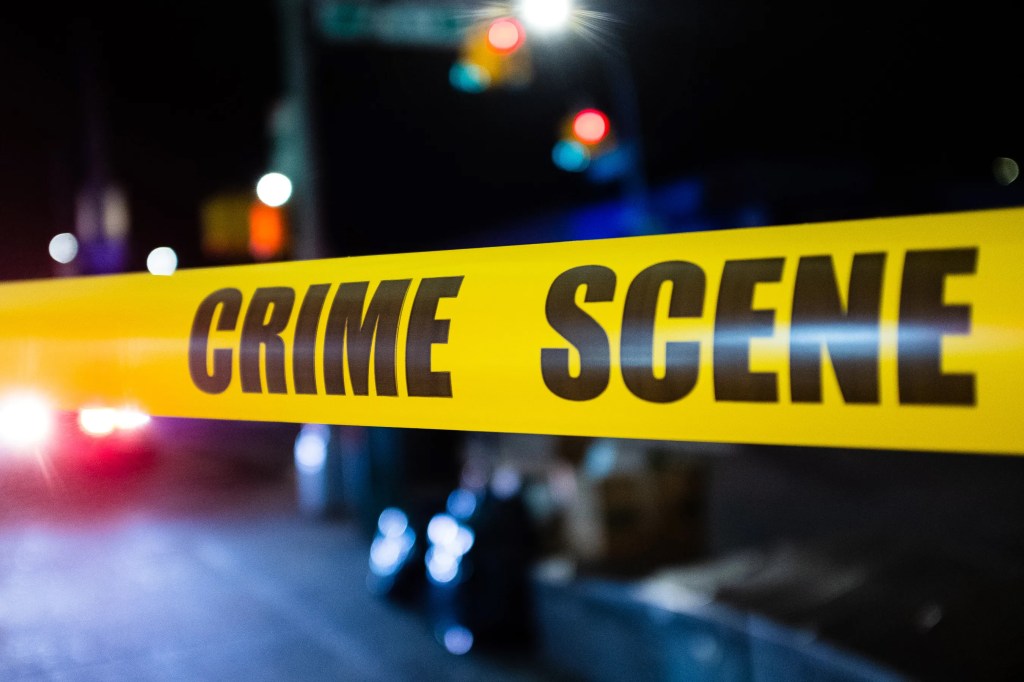 Young man shot multiple times in the head in the Bronx