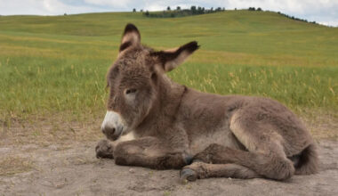 Yahoo lifestyle home