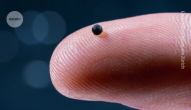 Tiny robots swim through blood, deliver drugs — and then dissolve