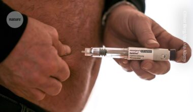 How obesity drugs quiet ‘food noise’ in the brain